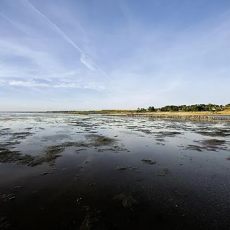 Hoogenkamp *